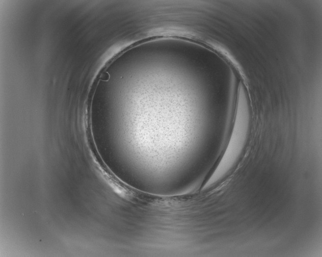 X0000081561040200701221022