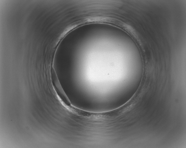 X0000081561041200701221022