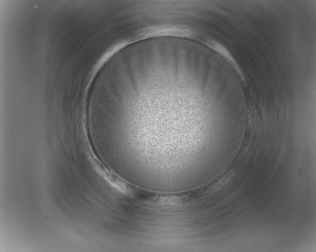 X0000081561043200701221022