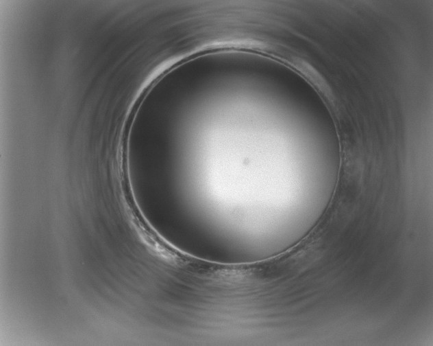 X0000081561044200701221022