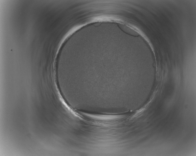 X0000081561045200701221022