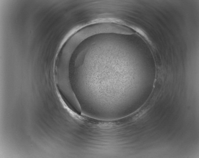 X0000081561046200701221022