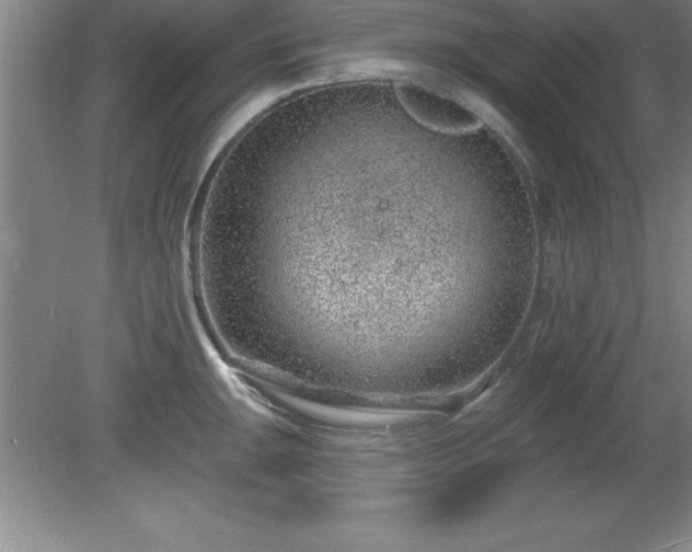 X0000081561047200701221022