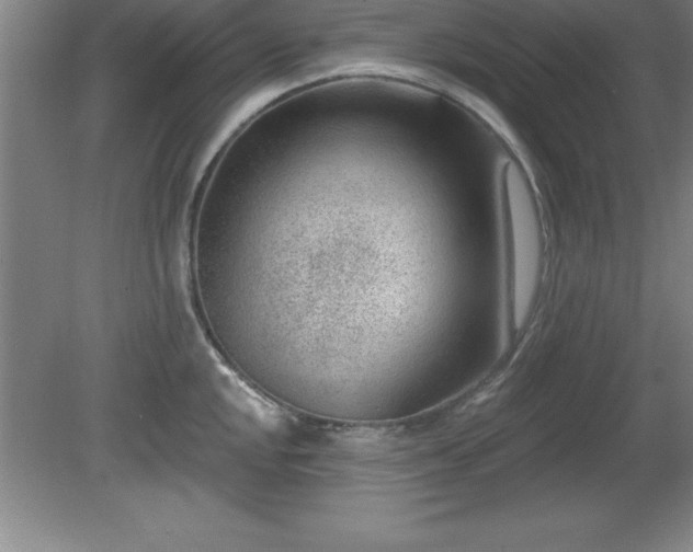 X0000081561048200701221022