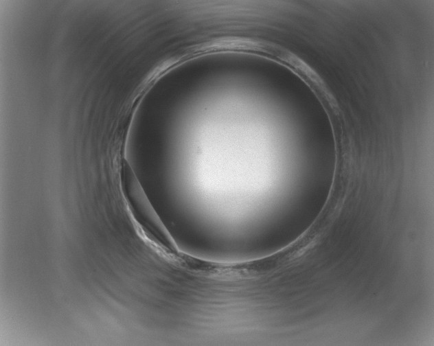 X0000081561049200701221022