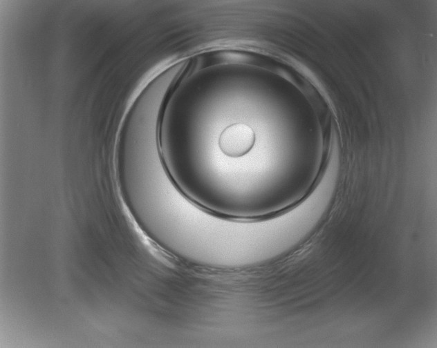 X0000081561050200701221022