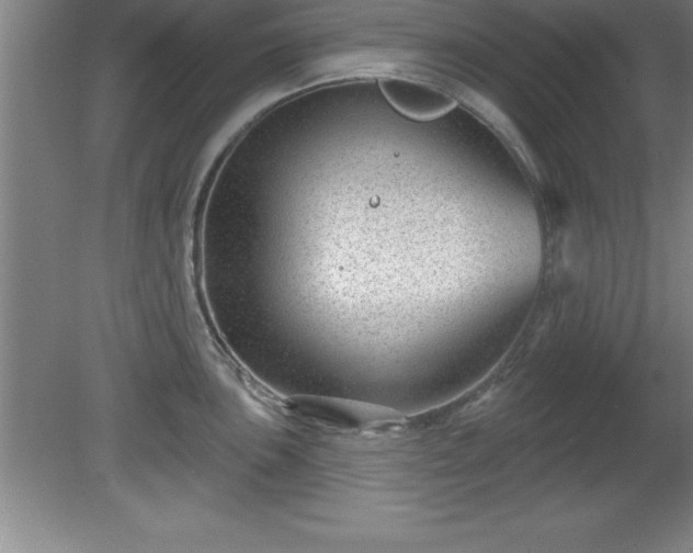 X0000081561051200701221022