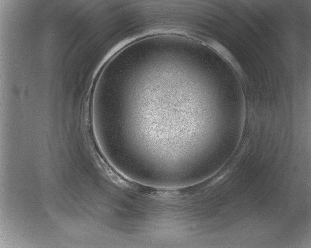 X0000081561052200701221022