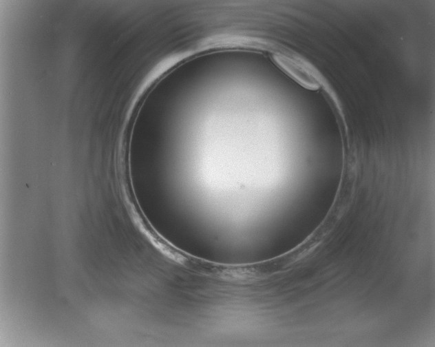 X0000081561053200701221022