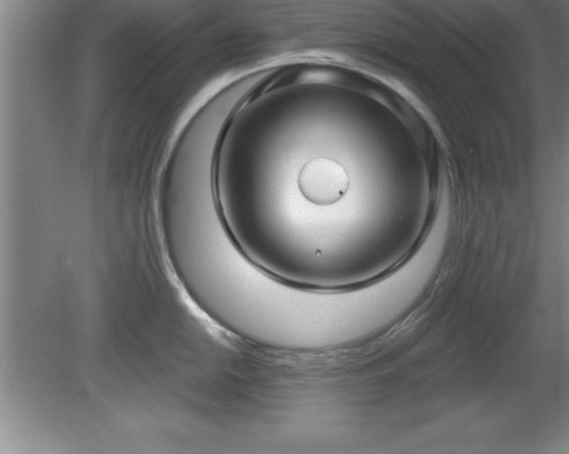 X0000081561054200701221022