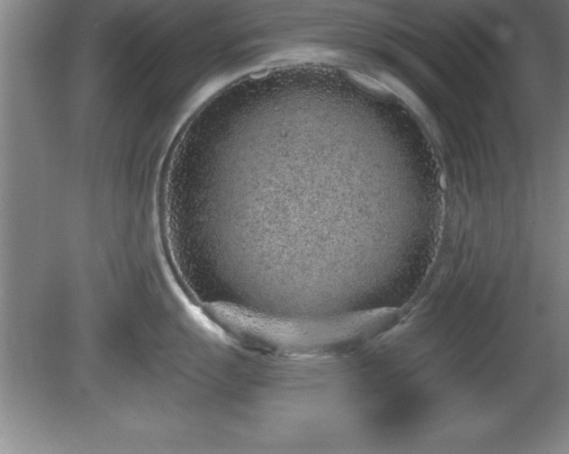 X0000081561055200701221022