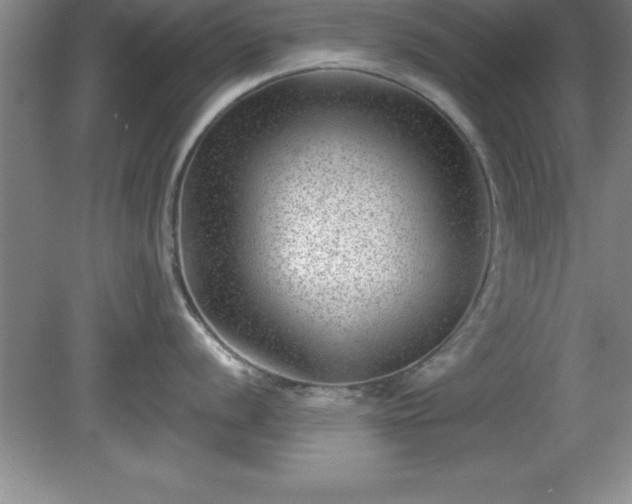 X0000081561056200701221022