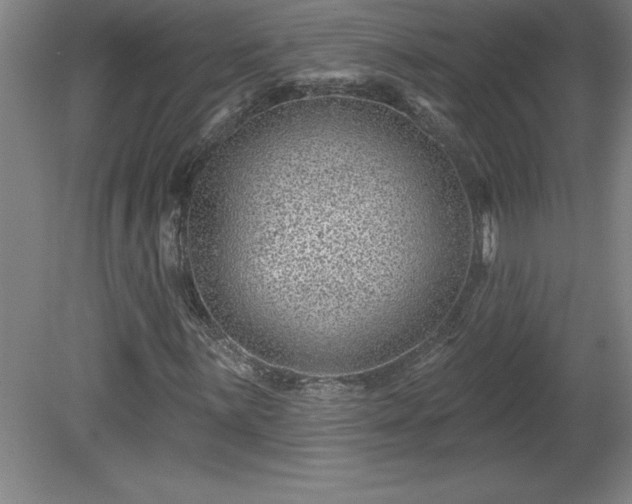 X0000081561059200701221021