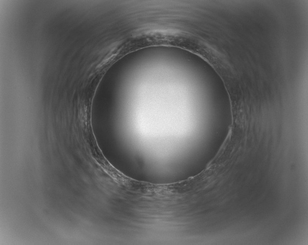 X0000081561061200701221021