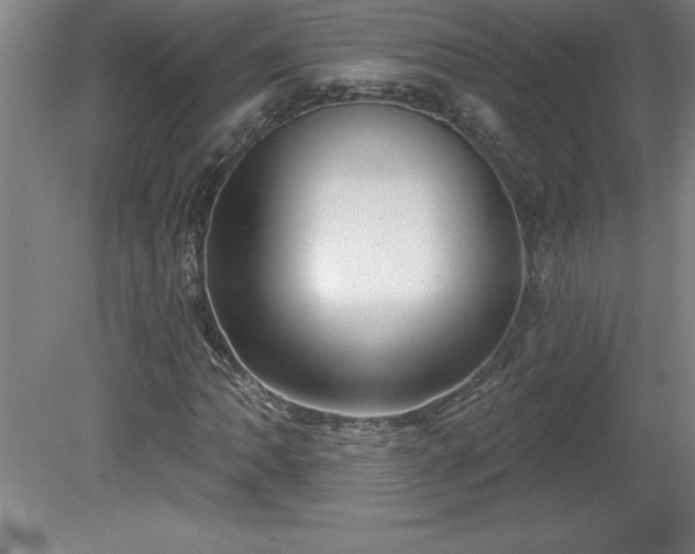 X0000081561062200701221021