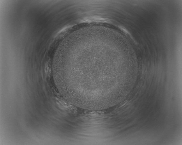 X0000081561063200701221021