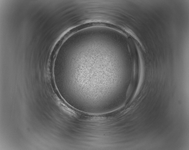 X0000081561068200701221021