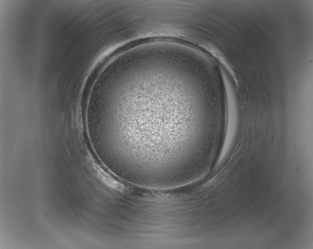 X0000081561072200701221021