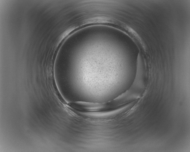 X0000081561081200701221021