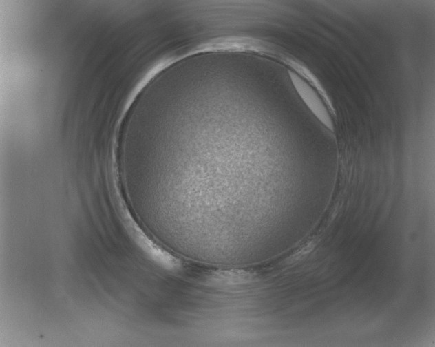 X0000081561091200701221020