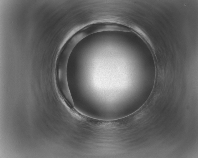 X0000081561093200701221020