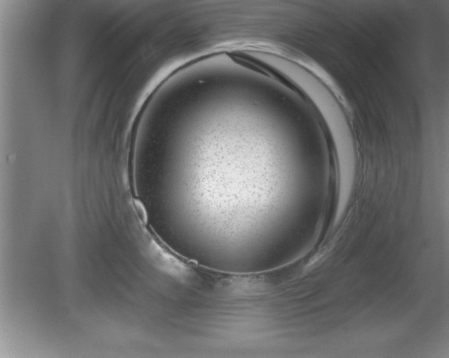 X0000081561102200701221020