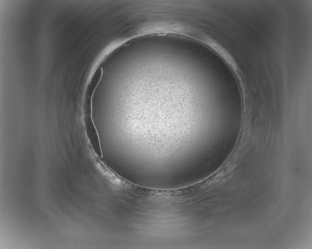 X0000081561104200701221020