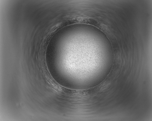 X0000081561105200701221019