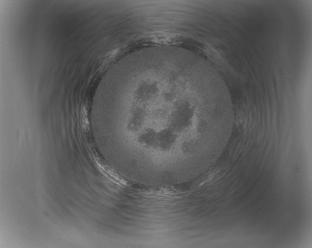 X0000081561106200701221019