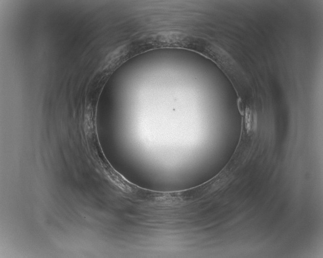 X0000081561107200701221019