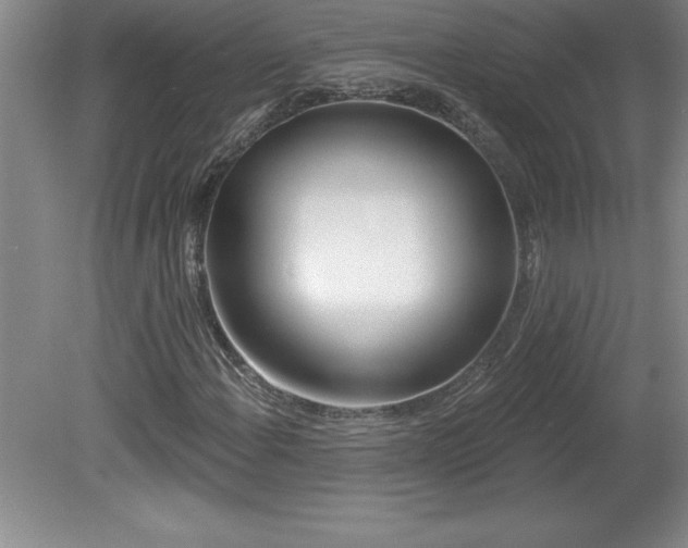 X0000081561108200701221019