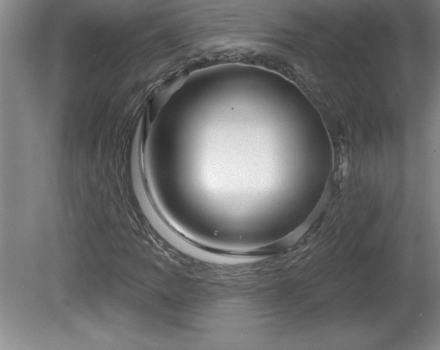 X0000081561109200701221019