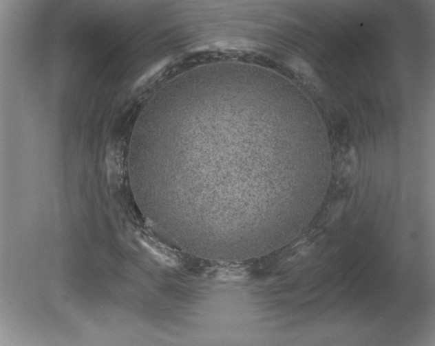 X0000081561110200701221019