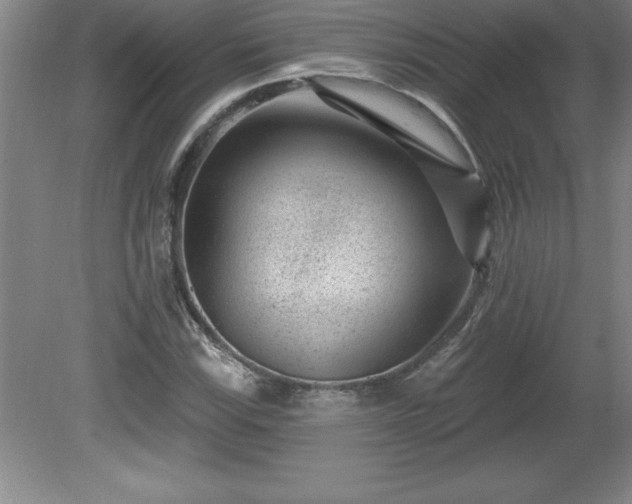 X0000081561115200701221020