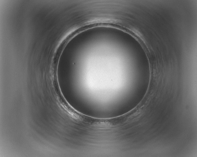 X0000081561119200701221020