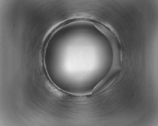 X0000081561120200701221020