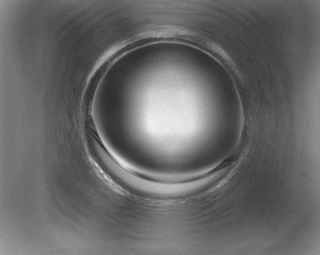 X0000081561122200701221020