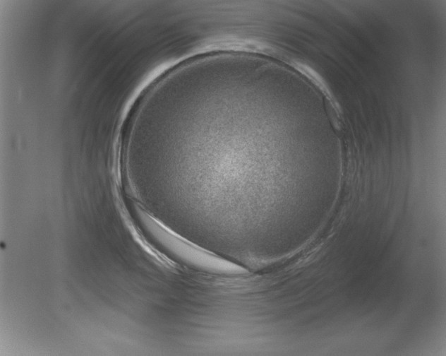 X0000081561128200701221020