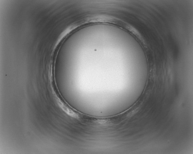 X0000081561130200701221020
