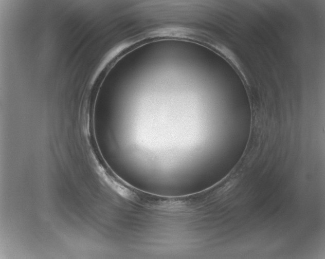 X0000081561131200701221020