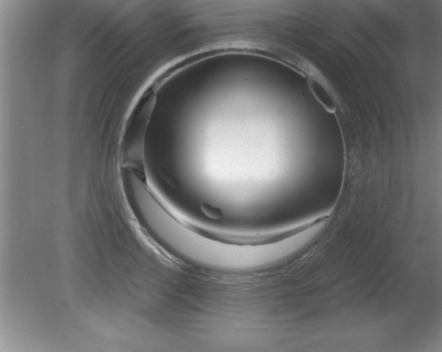 X0000081561132200701221020