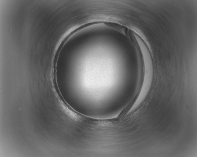 X0000081561136200701221020