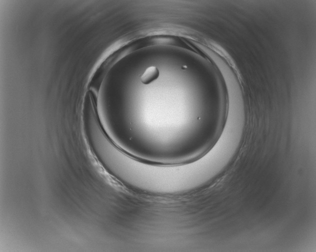 X0000081561138200701221020
