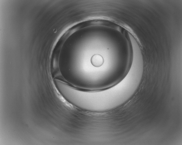 X0000081561140200701221020