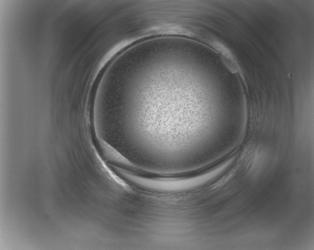 X0000081561141200701221020