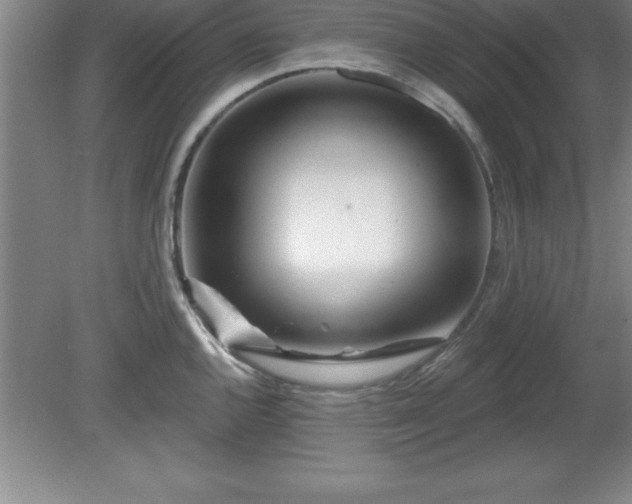 X0000081561144200701221020