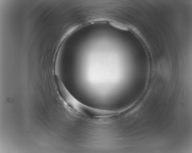X0000081561145200701221020
