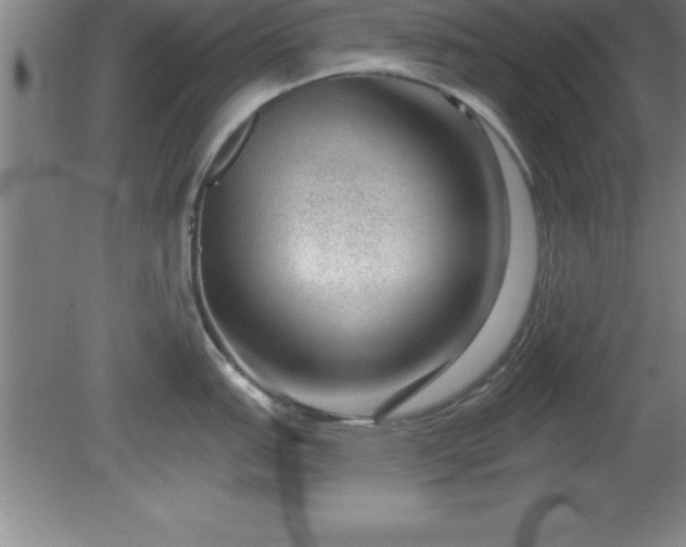 X0000081561151200701221020