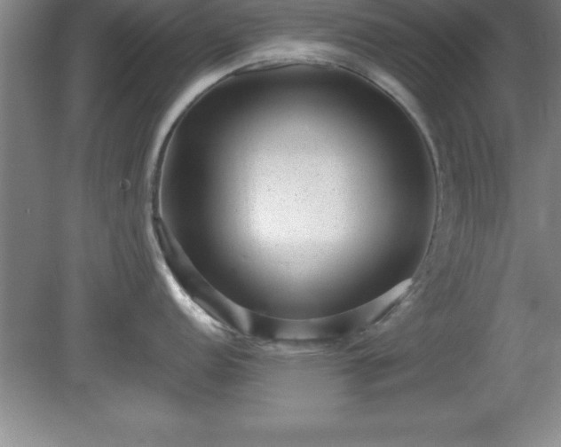 X0000081561152200701221020