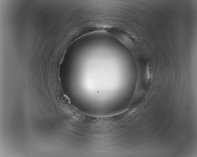 X0000081561153200701221019